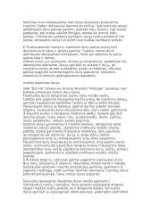 Šarvuotų durų gamybos technologija 13 puslapis