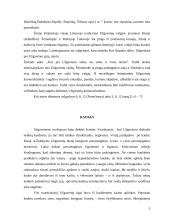 Šiuolaikinės kalendorinės šventės: tradicijos ir inovacijos. Užgavėnės 5 puslapis