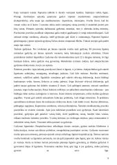 Šizofrenija 9 puslapis