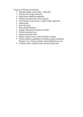 Šumerų civilizacijos pasiekimai 2 puslapis