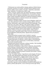 Šumerų civilizacijos pasiekimai 5 puslapis