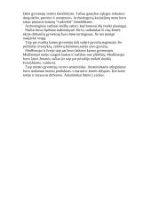 Šumerų civilizacijos pasiekimai 6 puslapis