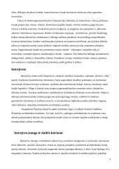 Šv. evangelisto Morkaus bažnyčia 4 puslapis