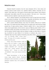 Šv. evangelisto Morkaus bažnyčia 6 puslapis