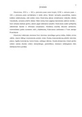 Šv. Pauliaus katedra Londone 2 puslapis