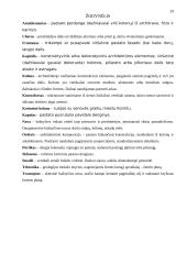 Šv. Pauliaus katedra Londone 20 puslapis