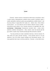 Tautosaka — savitas žodžio menas 3 puslapis