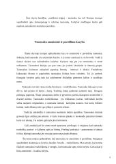 Tautosaka — savitas žodžio menas 5 puslapis