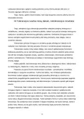 Tolerancijos esmė 11 puslapis