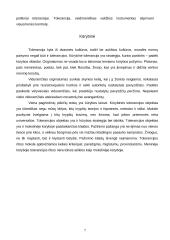 Tolerancijos esmė 6 puslapis