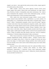 Totoriai tautinė Lietuvos mažuma 10 puslapis