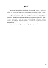 Tradiciniai liaudies audinių raštai, ornamentika 2 puslapis