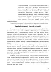 Tradiciniai liaudies audinių raštai, ornamentika 11 puslapis