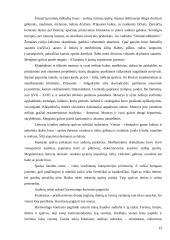 Tradiciniai liaudies audinių raštai, ornamentika 12 puslapis