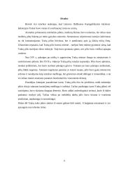 Trakų pilies istorija 13 puslapis