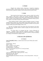 Trijų šalių energetinių sistemų efektyvumo palyginimas: Lietuva, Baltarusija, Argentina 2 puslapis