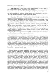 Trijų šalių energetinių sistemų efektyvumo palyginimas: Lietuva, Baltarusija, Argentina 3 puslapis