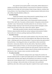 Vakarinio makiažo atlikimo technologija 8 puslapis