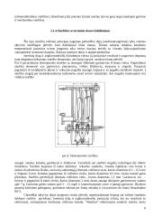Vakuuminės aplinkos sudarymas, metodai ir priemonės 8 puslapis