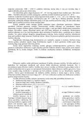 Vakuuminės aplinkos sudarymas, metodai ir priemonės 9 puslapis