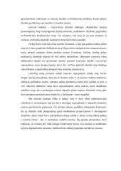 Verkių architektūros ansamblis 7 puslapis