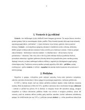 Vestuvių papročiai Lietuvoje XIX - XX amžiuje 3 puslapis