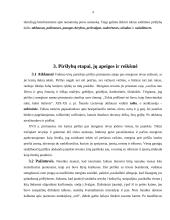Vestuvių papročiai Lietuvoje XIX - XX amžiuje 4 puslapis