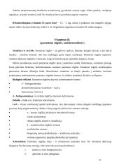 Tirpūs vitaminai 12 puslapis