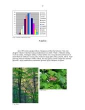 Vokietijos klimatas, klimato juostos, klimato rodikliai, augalai, gyvūnai, gamtinės zonos ir saugomos teritorijos 17 puslapis