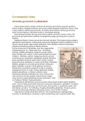 Žalvario amžius Lietuvoje 4 puslapis