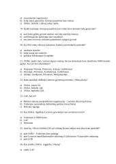 Viktorina - Antrasis pasaulinis karas 4 puslapis