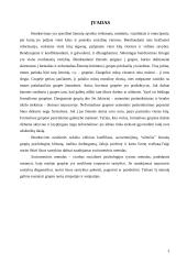 Sociometrinis tyrimas ir jo išvados 3 puslapis