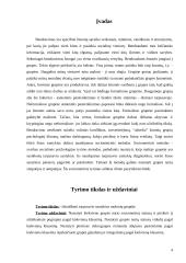 Sociometrinis tyrimas: Vilniaus Gerosios Vilties mokyklos 7 klasė 4 puslapis