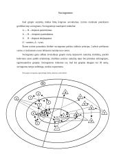 Sociometrinis tyrimas: Vilniaus Gerosios Vilties mokyklos 7 klasė 10 puslapis