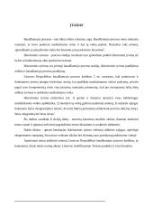 Bendrosios ikiteisminio tyrimo veiksmų atlikimo sąlygos 2 puslapis