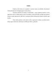 Įmonės analizė: baldų gamyba IĮ "GeRi Baldai" 2 puslapis