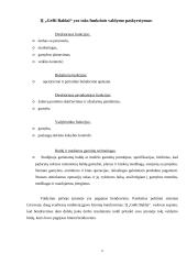 Įmonės analizė: baldų gamyba IĮ "GeRi Baldai" 6 puslapis