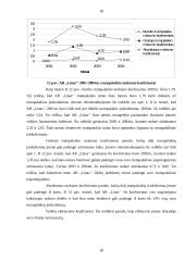 Įmonės finansinių ataskaitų analizė: AB "Linas" 15 puslapis