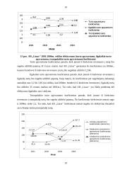 Įmonės finansinių ataskaitų analizė: AB "Linas" 16 puslapis