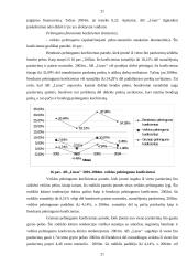 Įmonės finansinių ataskaitų analizė: AB "Linas" 18 puslapis