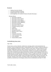 Informacinis aprūpinimas: Kauno humanitarinis fakultetas 11 puslapis