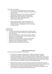 Informacinis aprūpinimas: Kauno humanitarinis fakultetas 12 puslapis