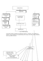 Informacinis aprūpinimas: Kauno humanitarinis fakultetas 4 puslapis