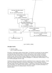 Informacinis aprūpinimas: Kauno humanitarinis fakultetas 5 puslapis