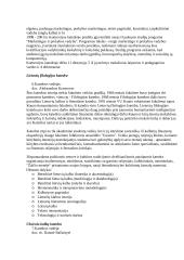 Informacinis aprūpinimas: Kauno humanitarinis fakultetas 9 puslapis