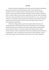 Ispanijos įvaizdžio analizė 7 puslapis