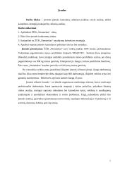 Kainodaros strategija:  ŽŪB "Nematekas" 2 puslapis