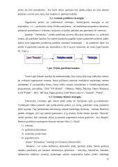 Kainodaros strategija:  ŽŪB "Nematekas" 13 puslapis