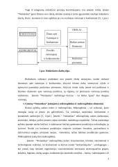 Kainodaros strategija:  ŽŪB "Nematekas" 4 puslapis