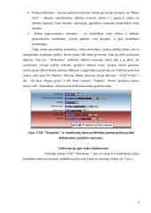 Kainodaros strategija:  ŽŪB "Nematekas" 6 puslapis